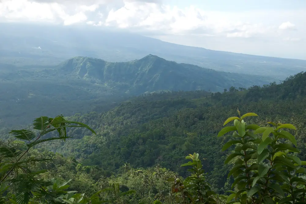Tropical forest on the slopes of Mount Lempuyang