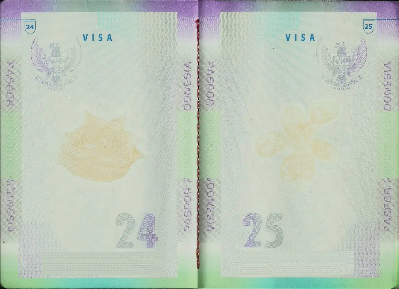 Visa pages of an Indonesian passport