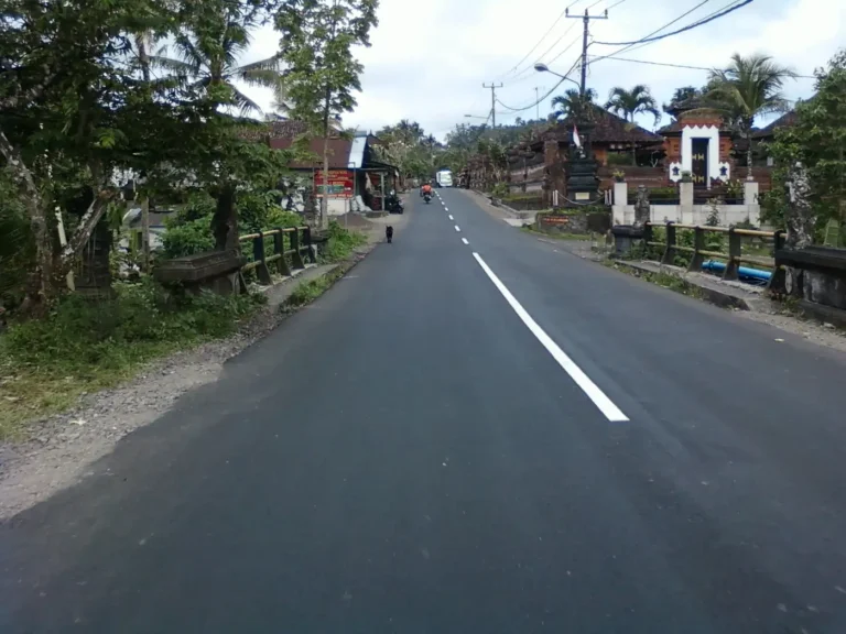 A quiet road through the Bali countryside
