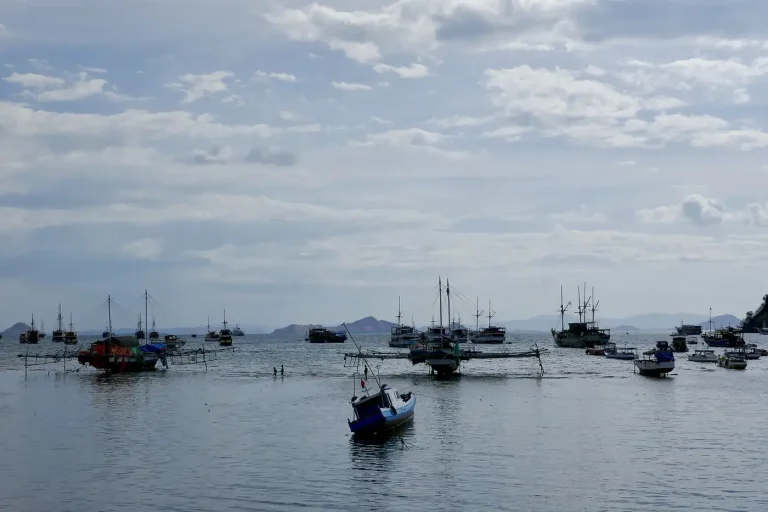 Boats anchored in Labuan Bajo harbour