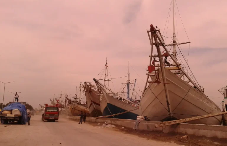 Traditional phinisi schooners moored at the harbour